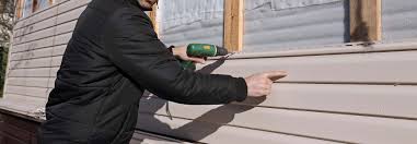 Best Siding for New Construction  in Cold Spring, MN